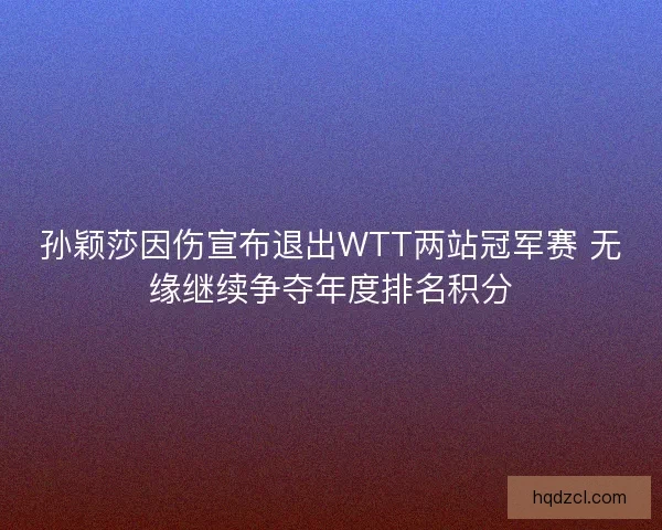孙颖莎因伤宣布退出WTT两站冠军赛 无缘继续争夺年度排名积分