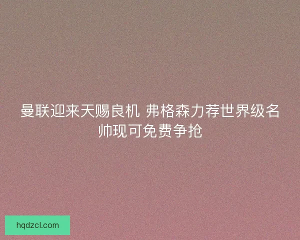曼联迎来天赐良机 弗格森力荐世界级名帅现可免费争抢